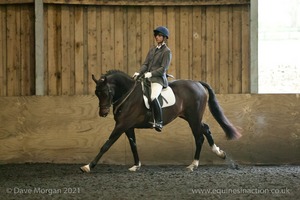 Isis Dressage Crown Farm Show 29th April 2012